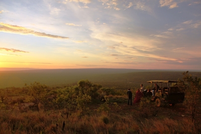 Ant's Nest Game Drives